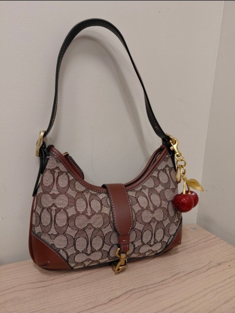Coach Brown and Tan Signature Hobo Bag with Gold Accents